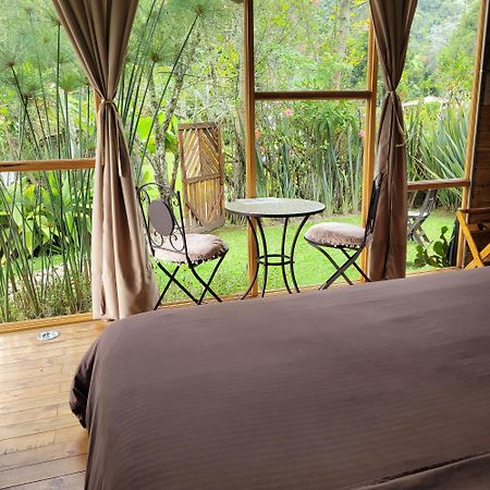 Exclusivo Cocora Con Jacuzzi Salento Quindio Exterior foto