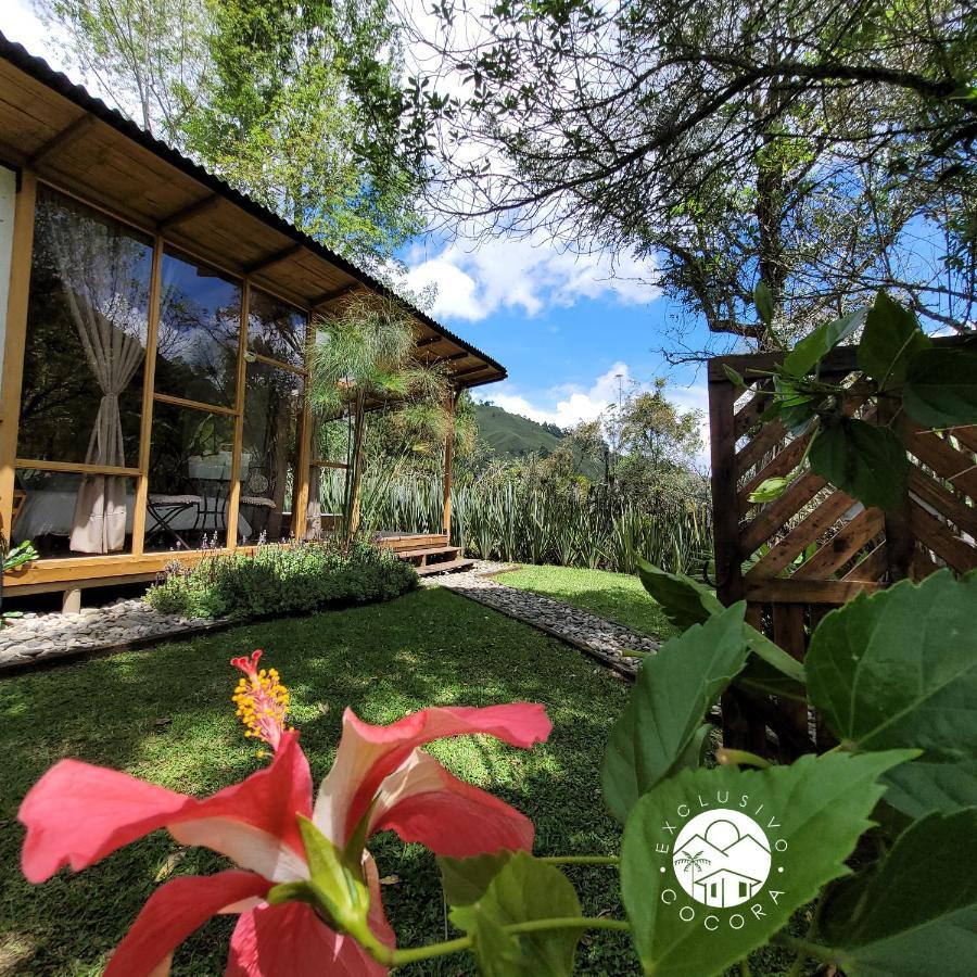 Exclusivo Cocora Con Jacuzzi Salento Quindio Exterior foto