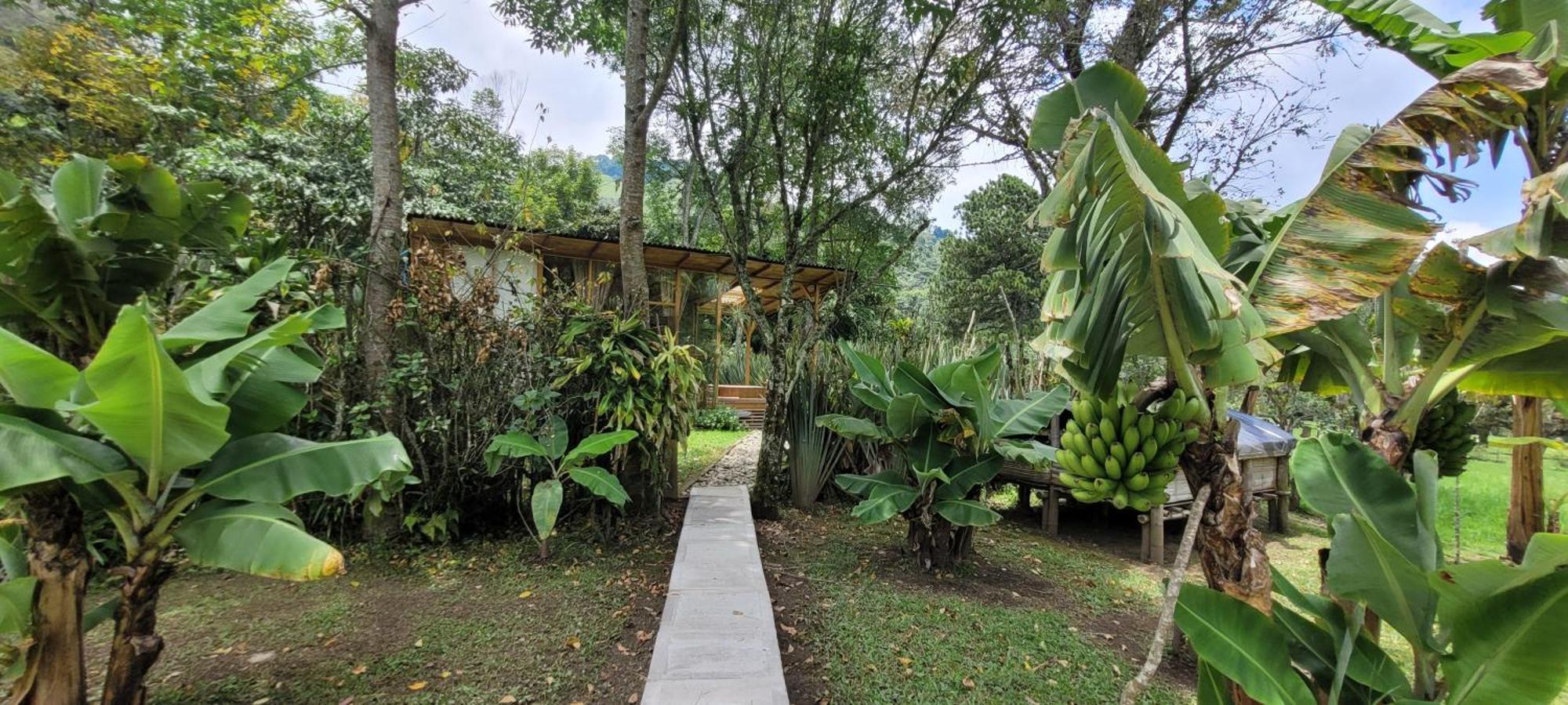 Exclusivo Cocora Con Jacuzzi Salento Quindio Exterior foto