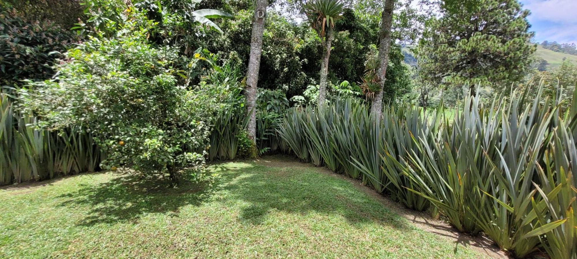 Exclusivo Cocora Con Jacuzzi Salento Quindio Exterior foto