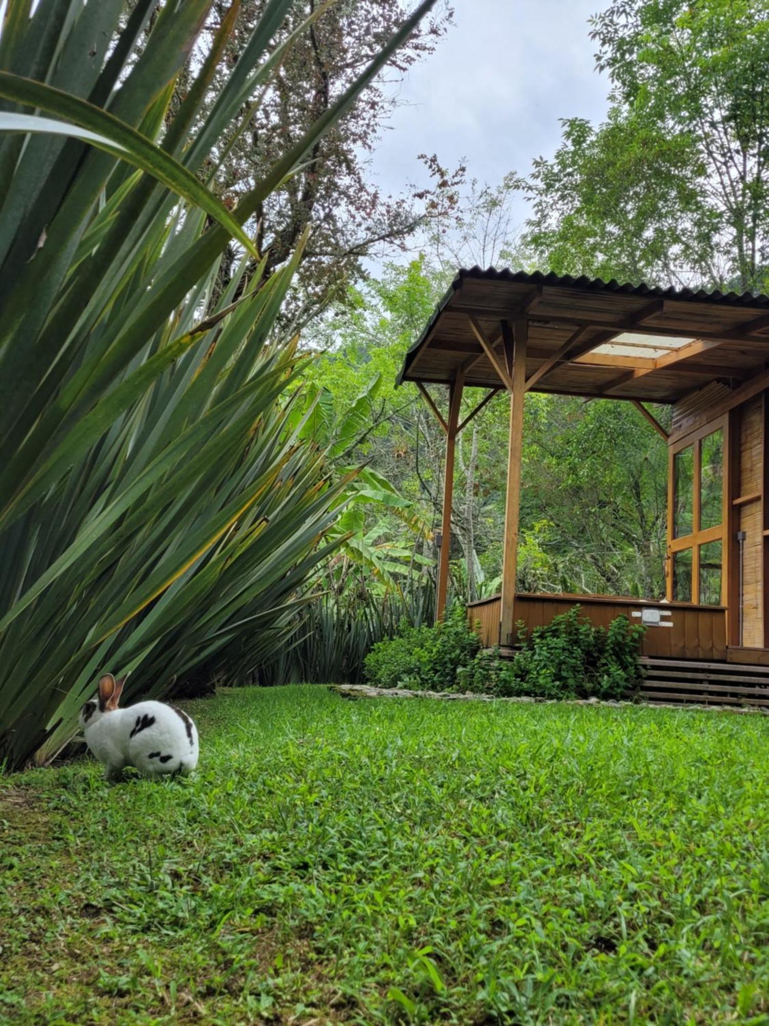 Exclusivo Cocora Con Jacuzzi Salento Quindio Exterior foto